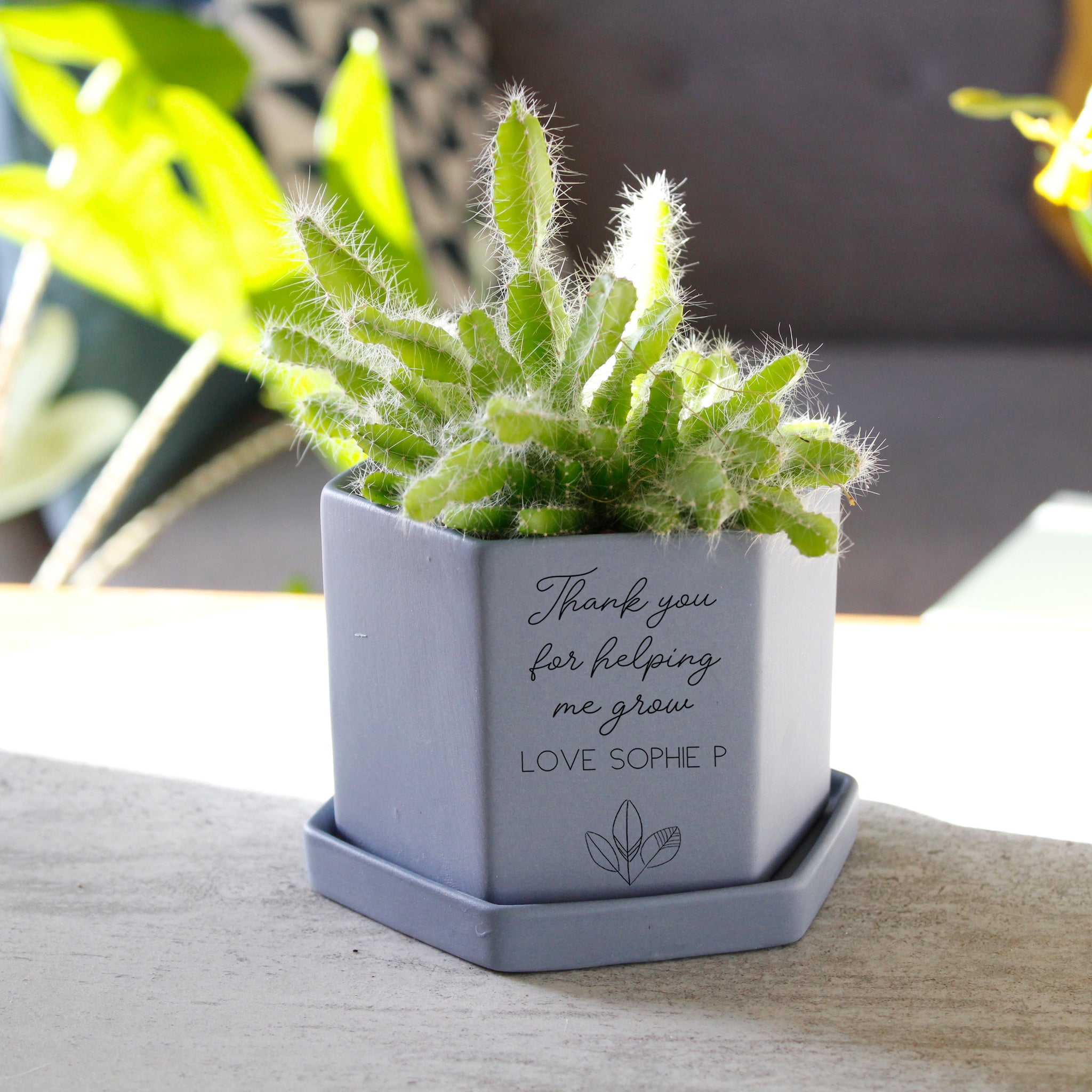 thank you plant pot Thank you Teacher Hexagon Plant Pot – Olivia Morgan Ltd
