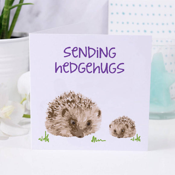 Sending Hedgehugs Thinking Of you Hedgehog Card