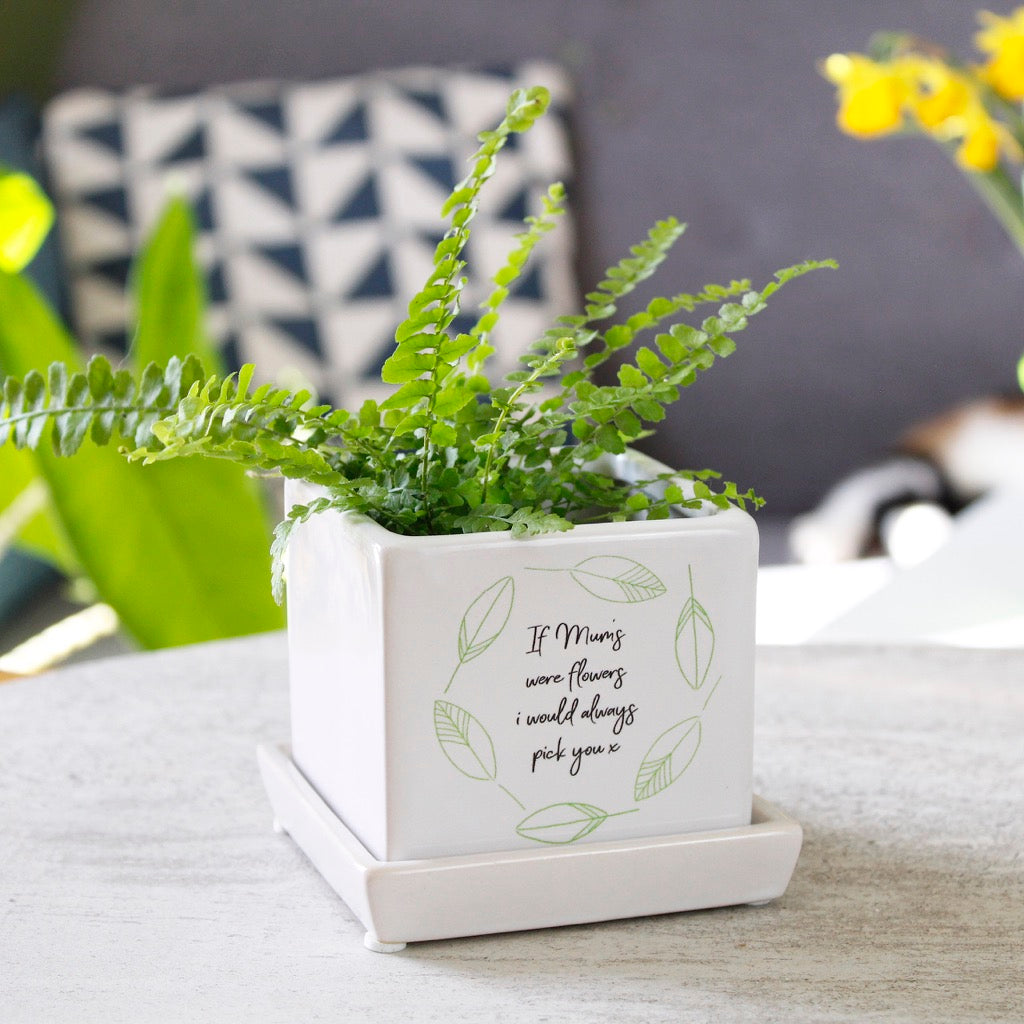 thank you plant pot Thank You Mum Quote Cube Plant Pot – Olivia Morgan Ltd