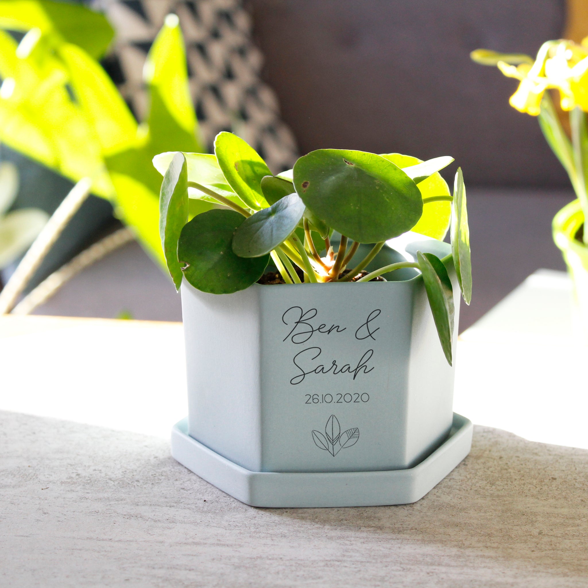 anniversary plant pot Anniversary Personalised Hexagon Plant Pot – Olivia Morgan Ltd