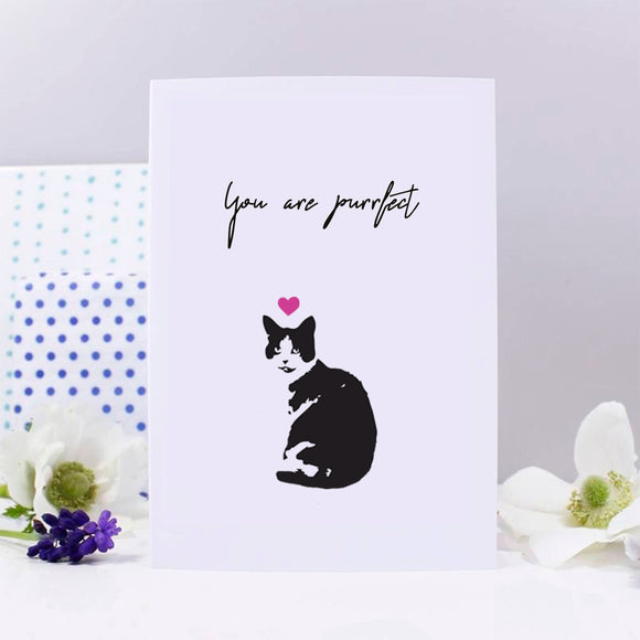 You Are Purfect Cat Anniversary Card - Olivia Morgan Ltd
