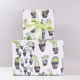 Cactus Succulent Eco Friendly Wrapping Paper - Olivia Morgan Ltd