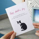 Funny Mother's Day Cat Card